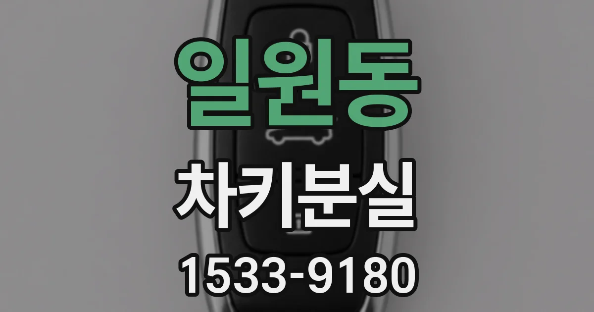 일원동 차키분실