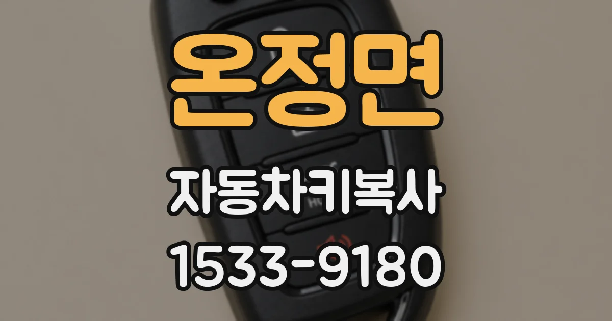 온정면 자동차키복사