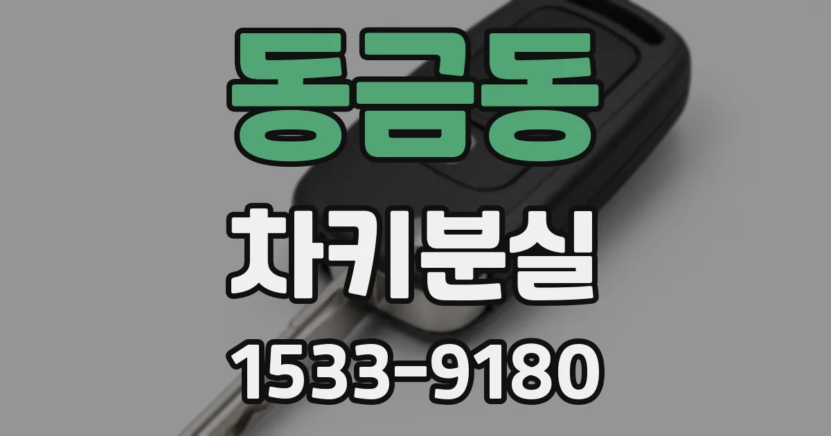 동금동 차키분실