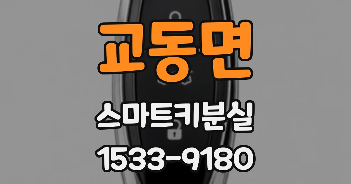 교동면 스마트키분실
