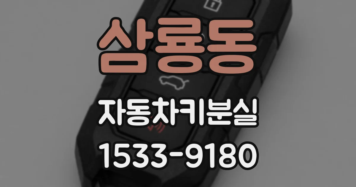 삼룡동 자동차키분실