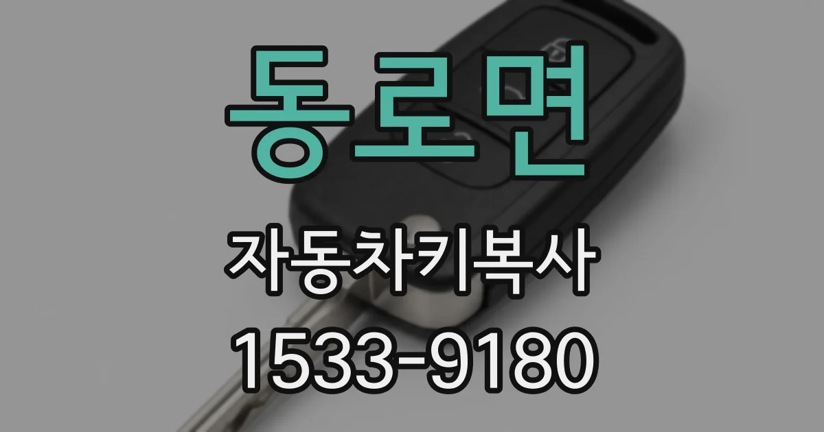 동로면 자동차키복사