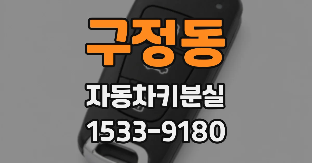 구정동 자동차키분실