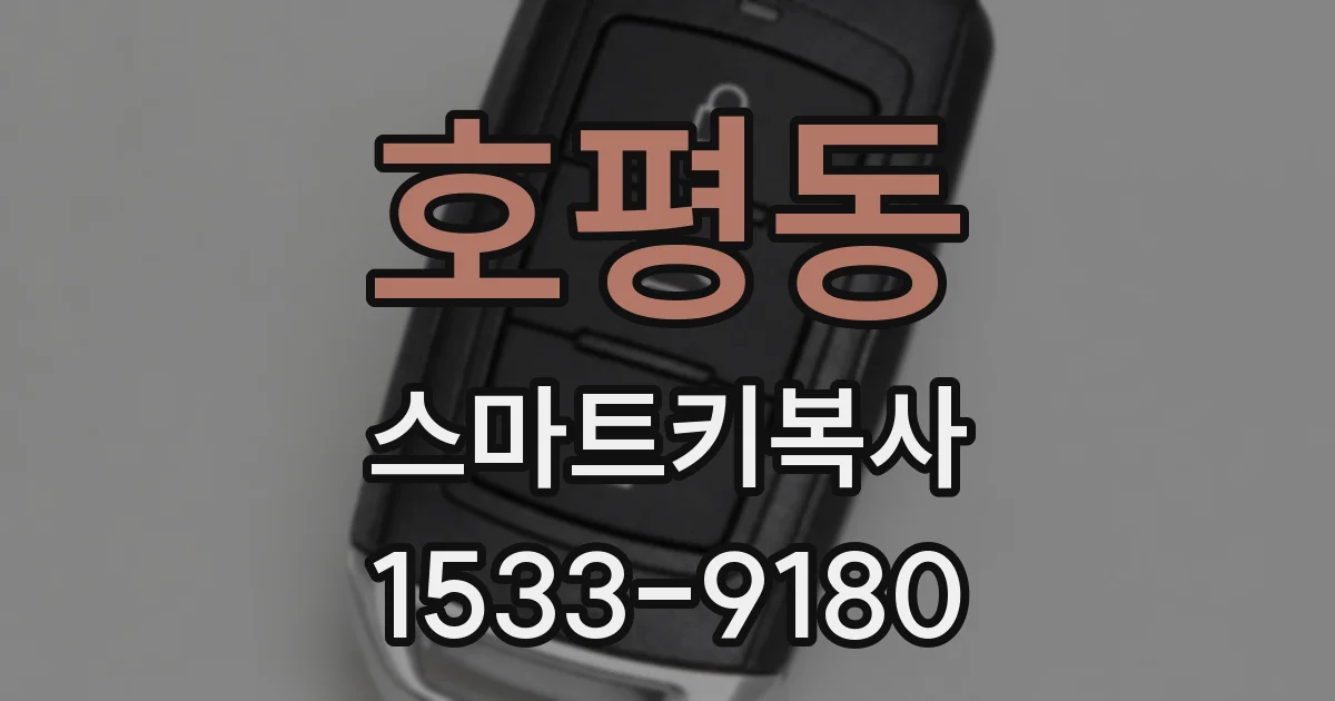호평동 스마트키복사