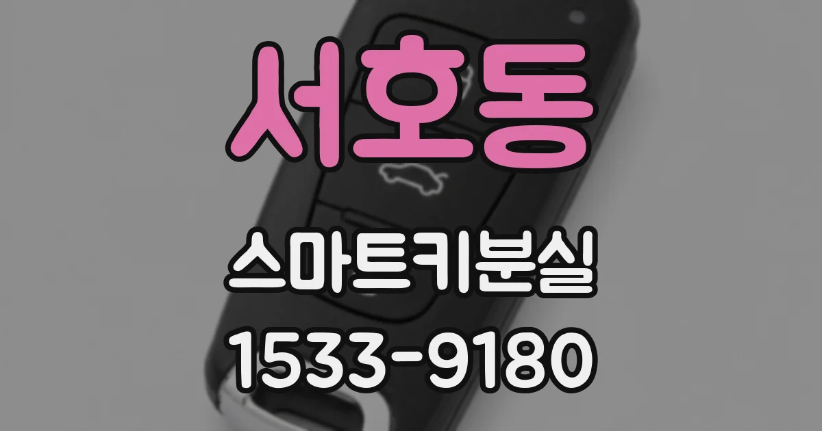 서호동 스마트키분실