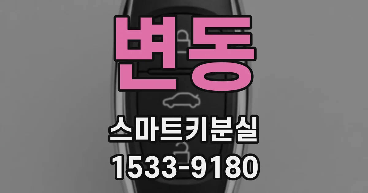 변동 스마트키분실