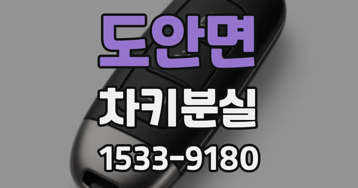 도안면 차키분실