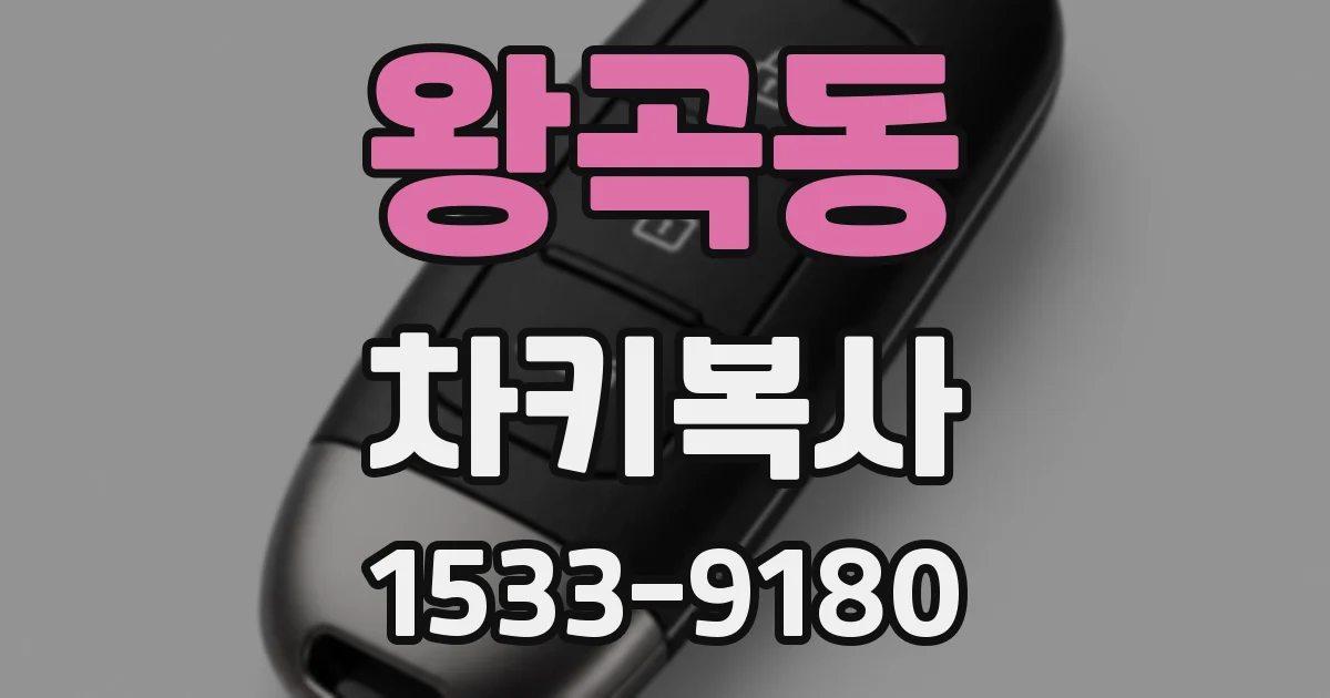 왕곡동 차키복사