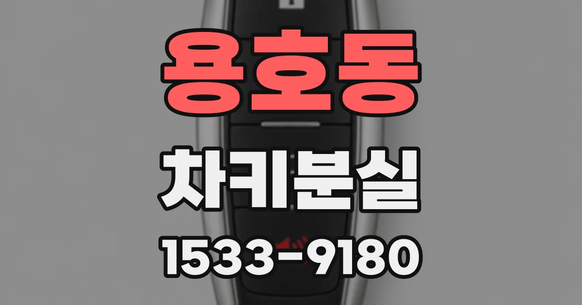 용호동 차키분실