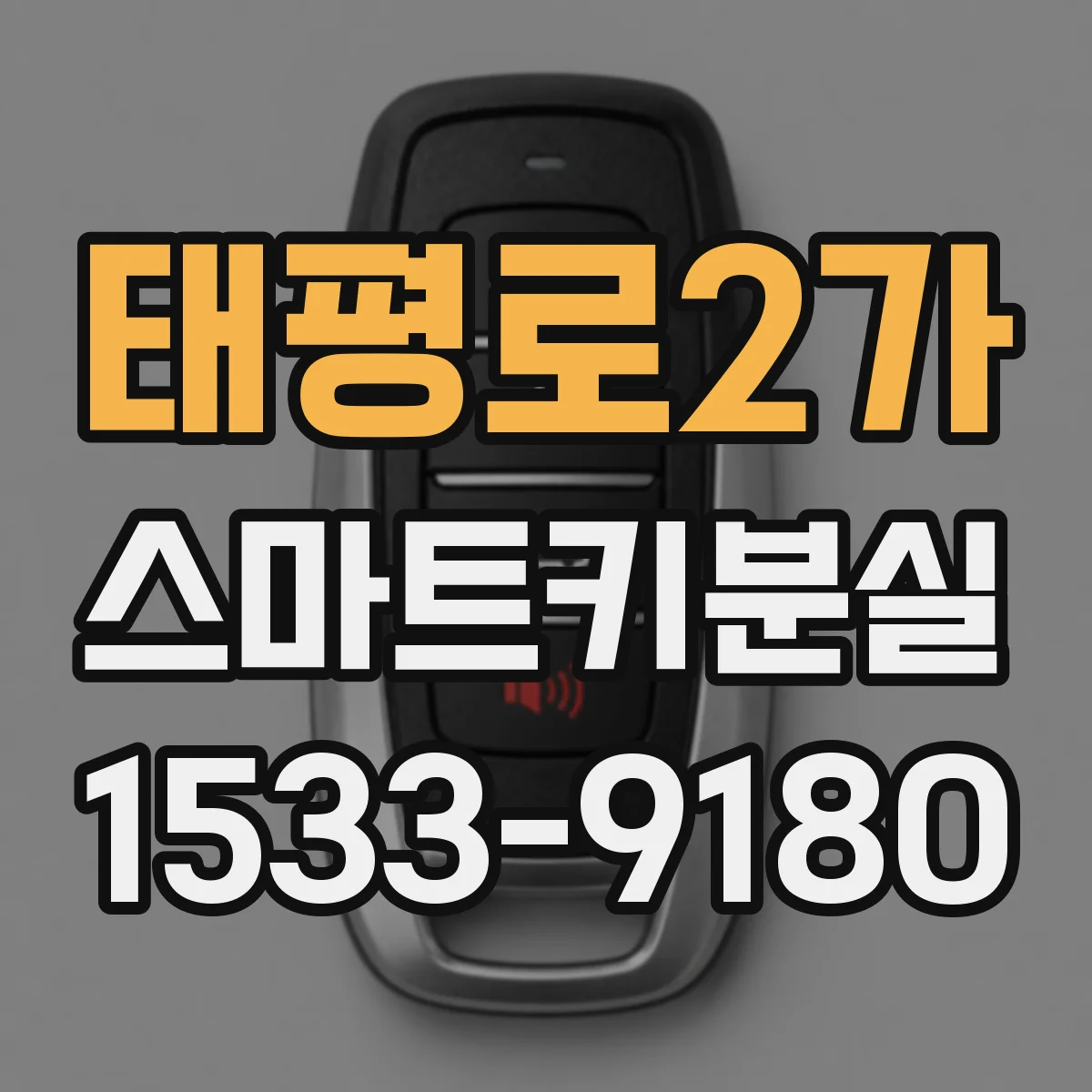 태평로2가 스마트키분실