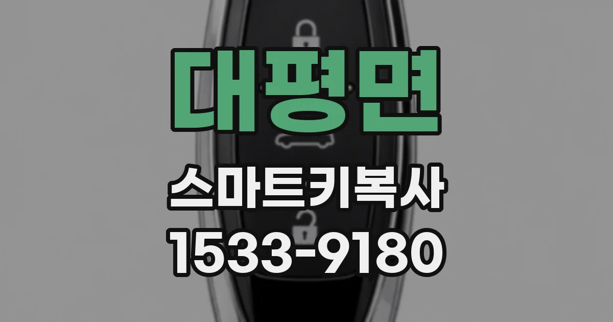대평면 스마트키복사
