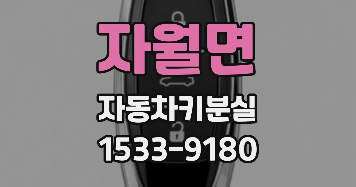 자월면 자동차키분실