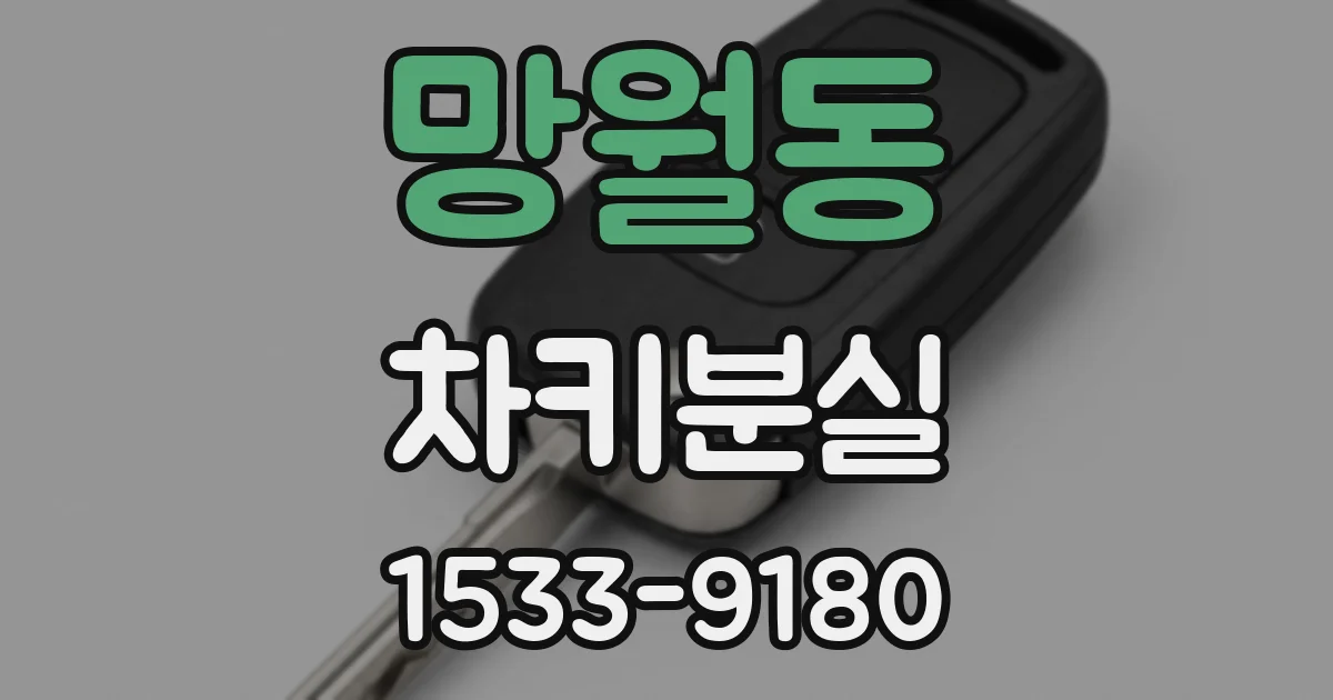 망월동 차키분실