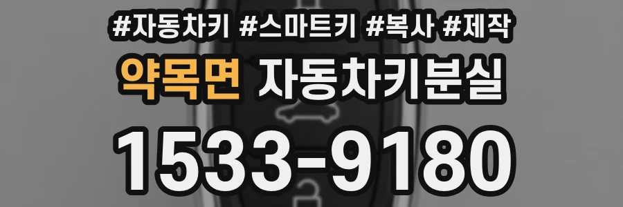 약목면 자동차키분실