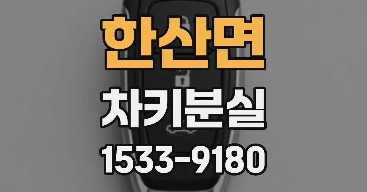 한산면 차키분실
