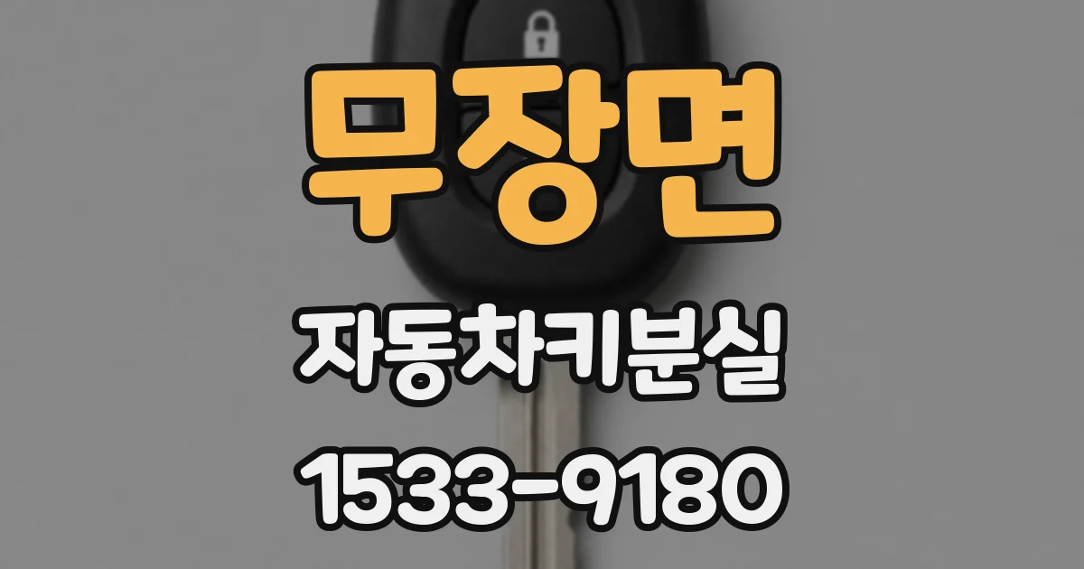 무장면 자동차키분실