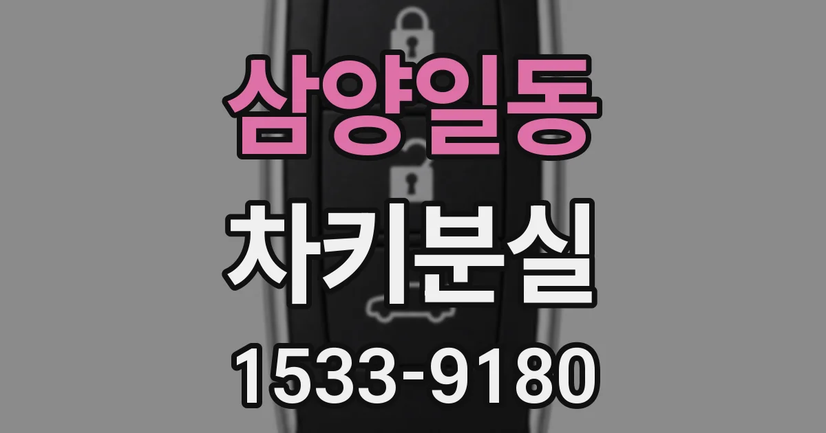 삼양일동 차키분실