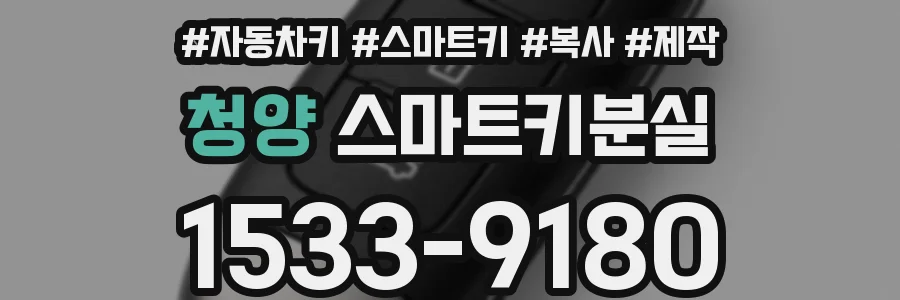 청양 스마트키분실
