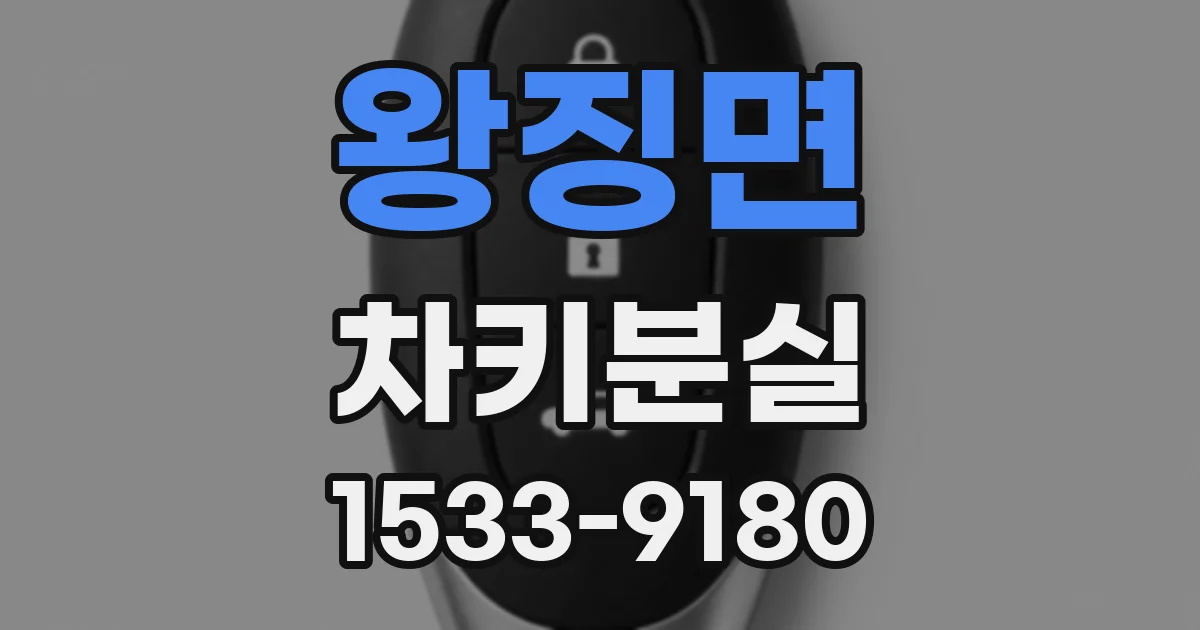 왕징면 차키분실