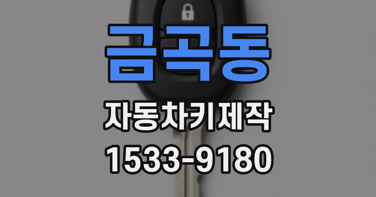 금곡동 자동차키제작
