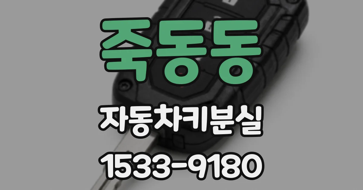 죽동동 자동차키분실