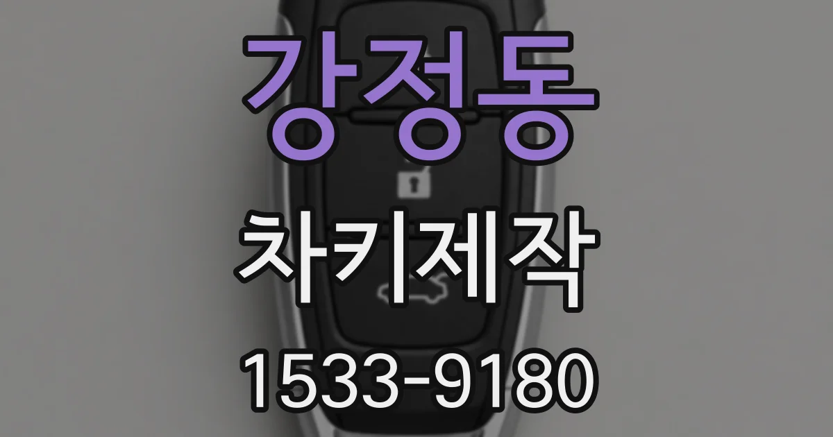 강정동 차키제작