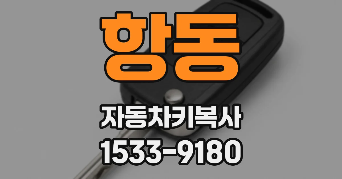 항동 자동차키복사