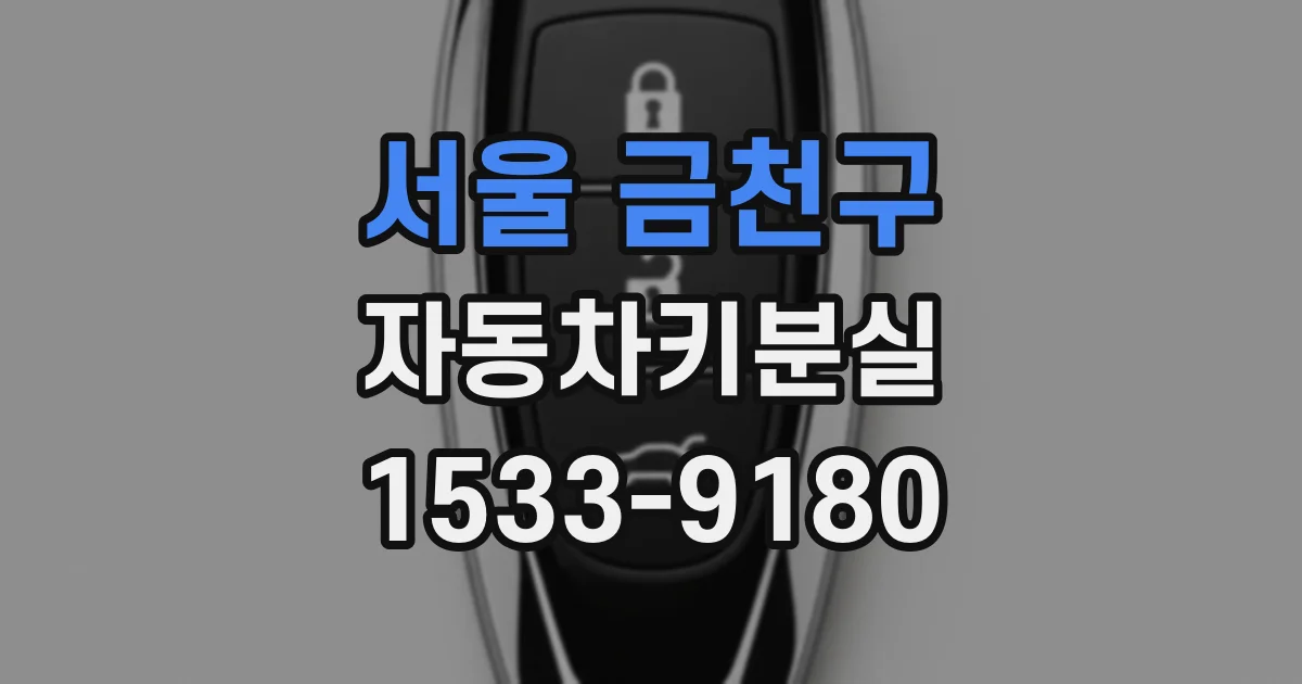서울 금천구 자동차키분실