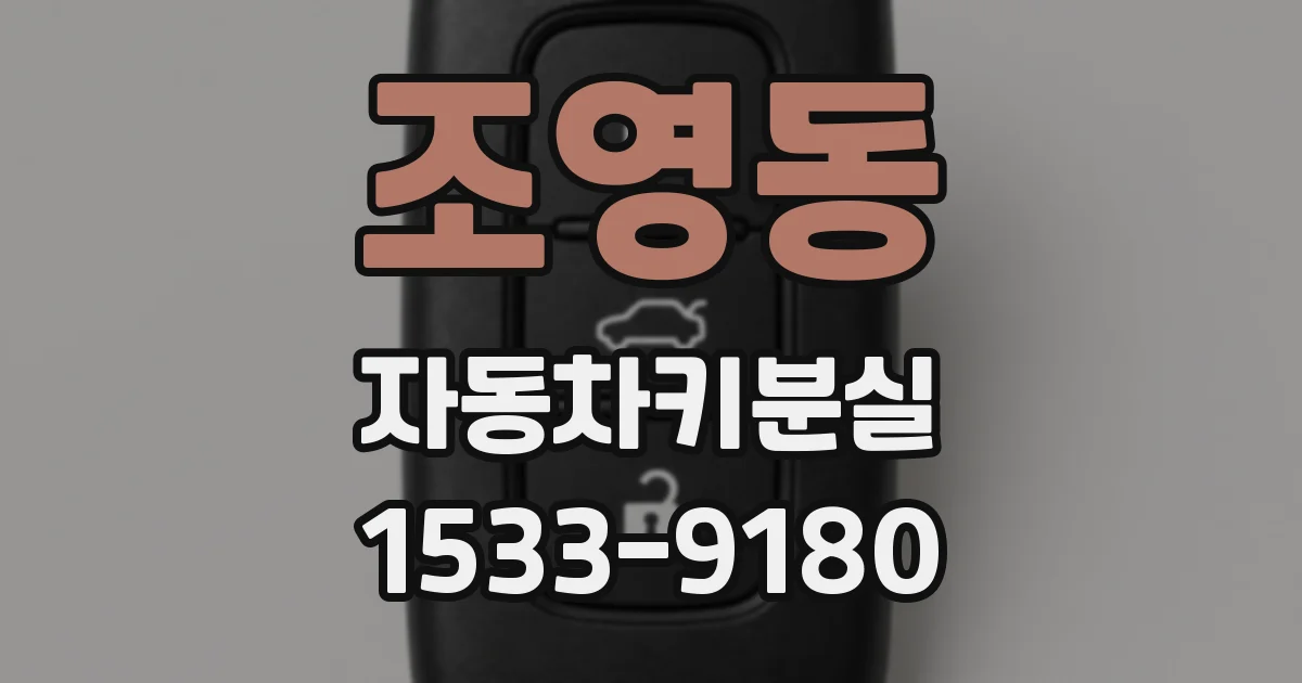 조영동 자동차키분실