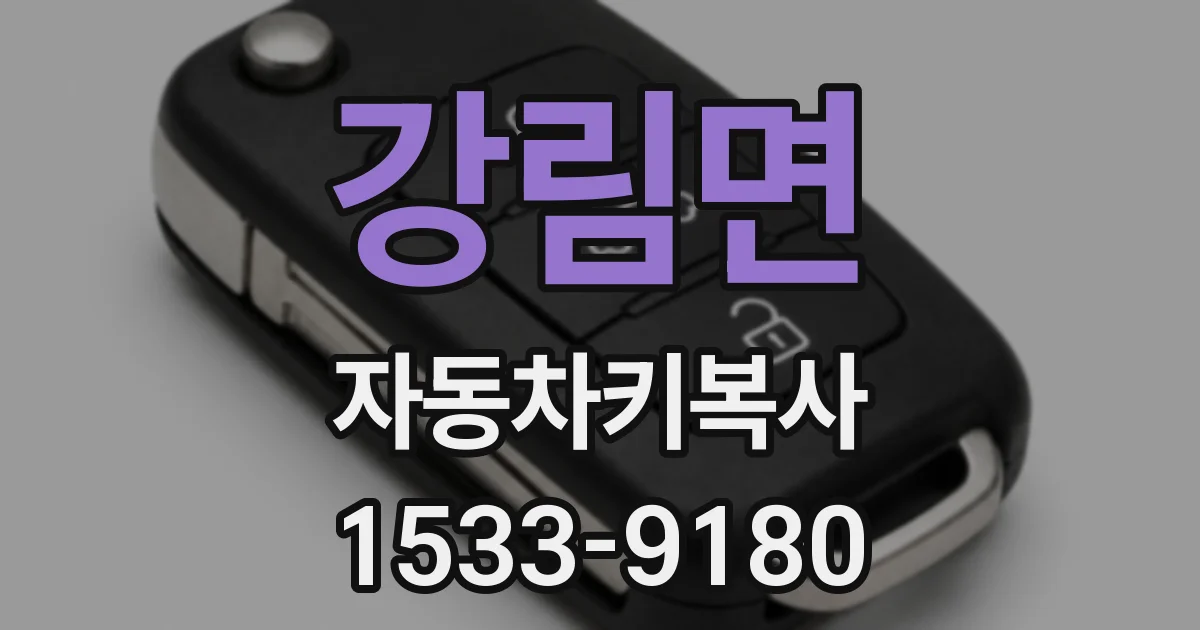 강림면 자동차키복사