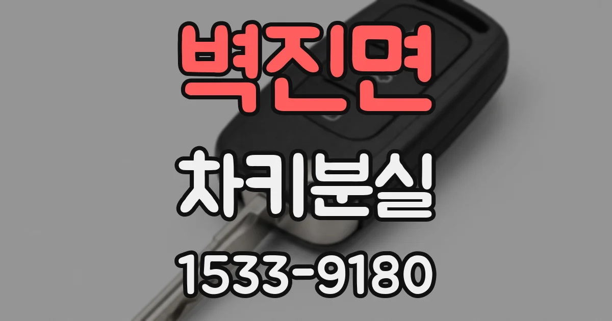 벽진면 차키분실