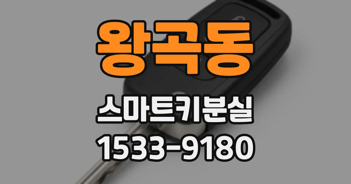 왕곡동 스마트키분실