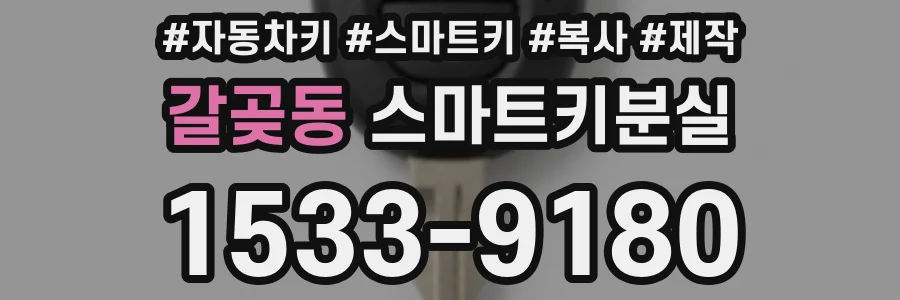 갈곶동 스마트키분실