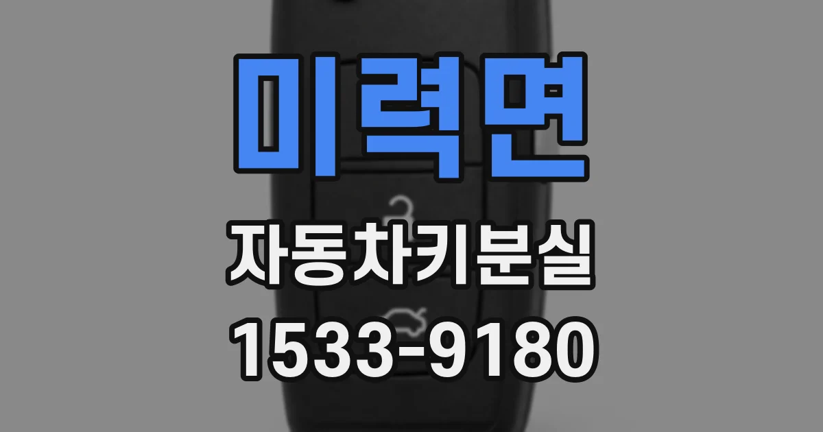 미력면 자동차키분실