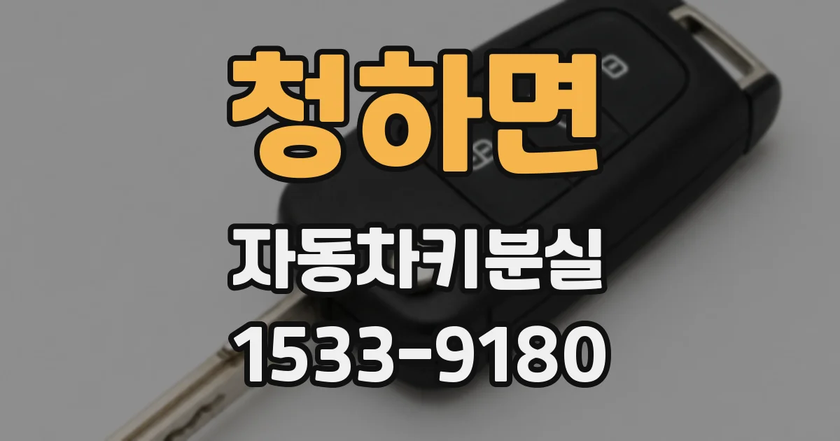 청하면 자동차키분실
