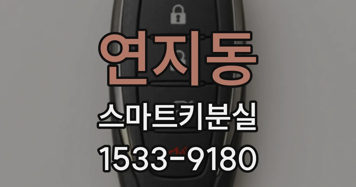 연지동 스마트키분실