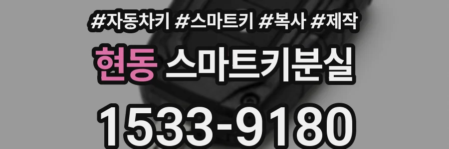 현동 스마트키분실