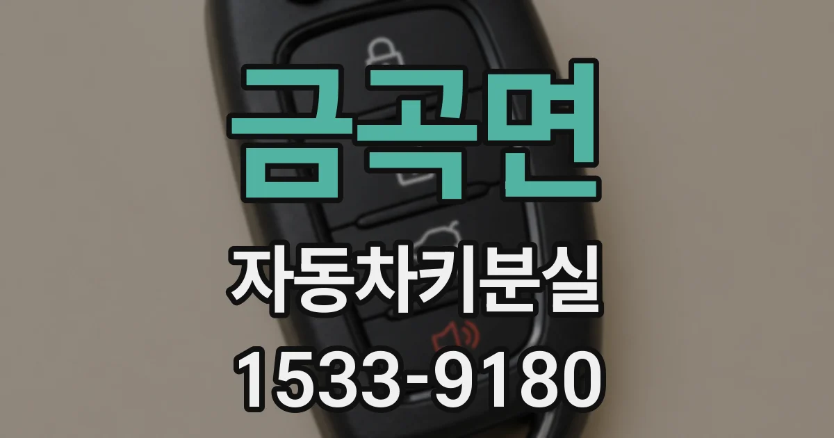 금곡면 자동차키분실