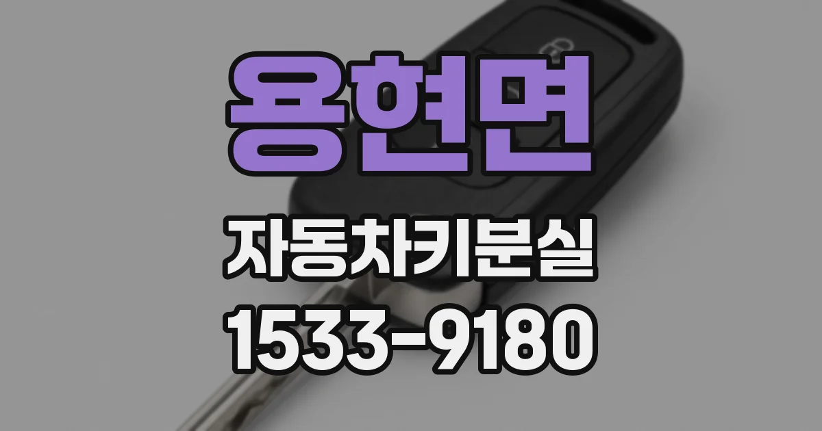 용현면 자동차키분실