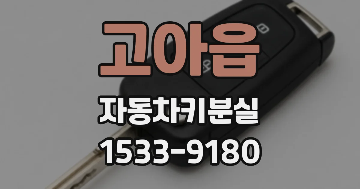 고아읍 자동차키분실