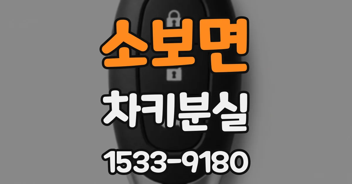 소보면 차키분실