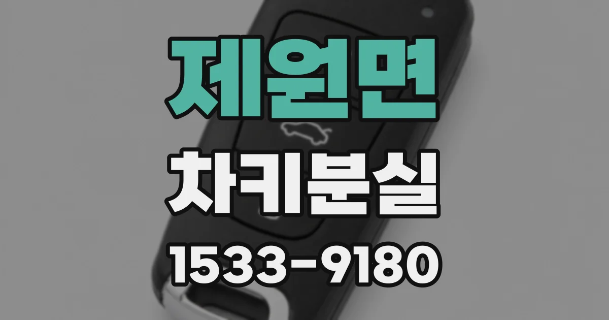 제원면 차키분실