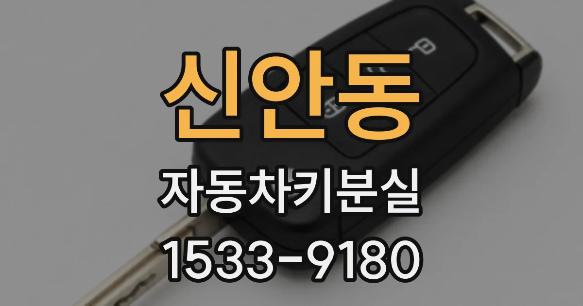 신안동 자동차키분실