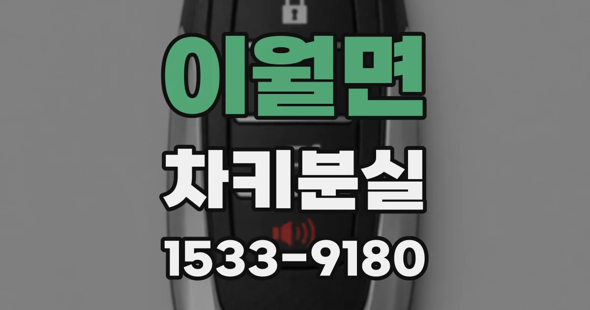 이월면 차키분실