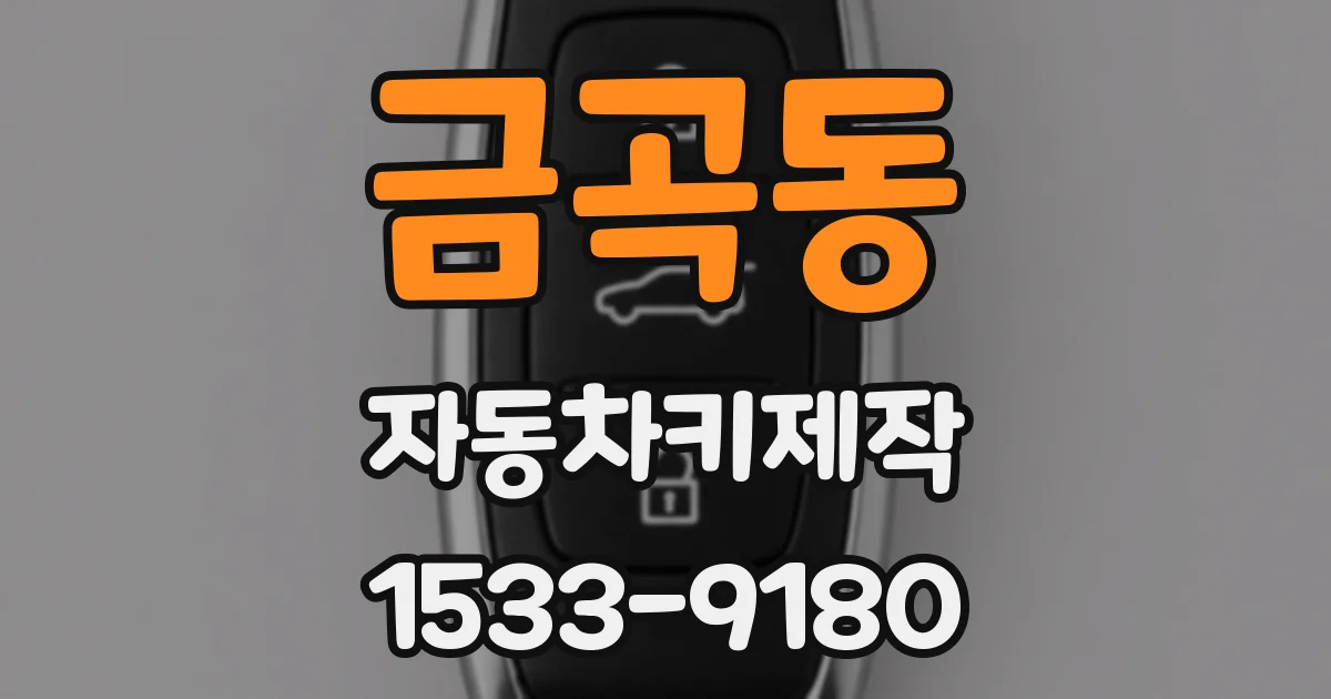 금곡동 자동차키제작