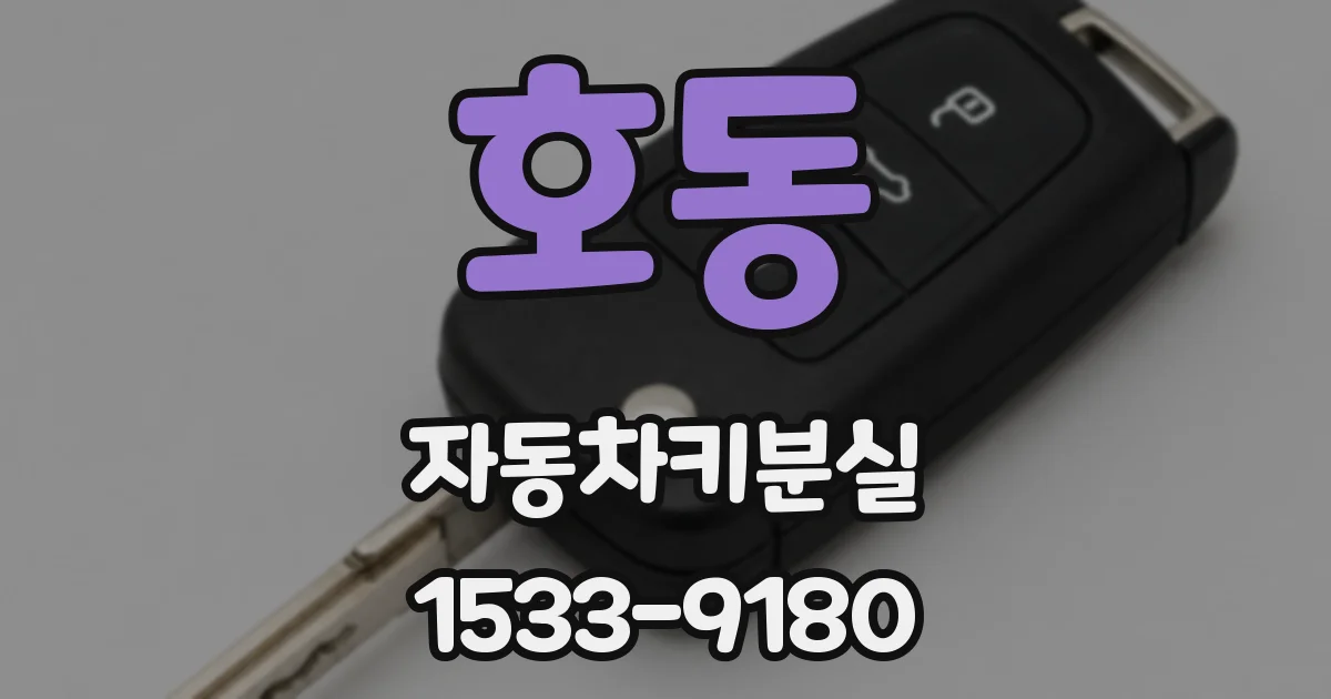 호동 자동차키분실