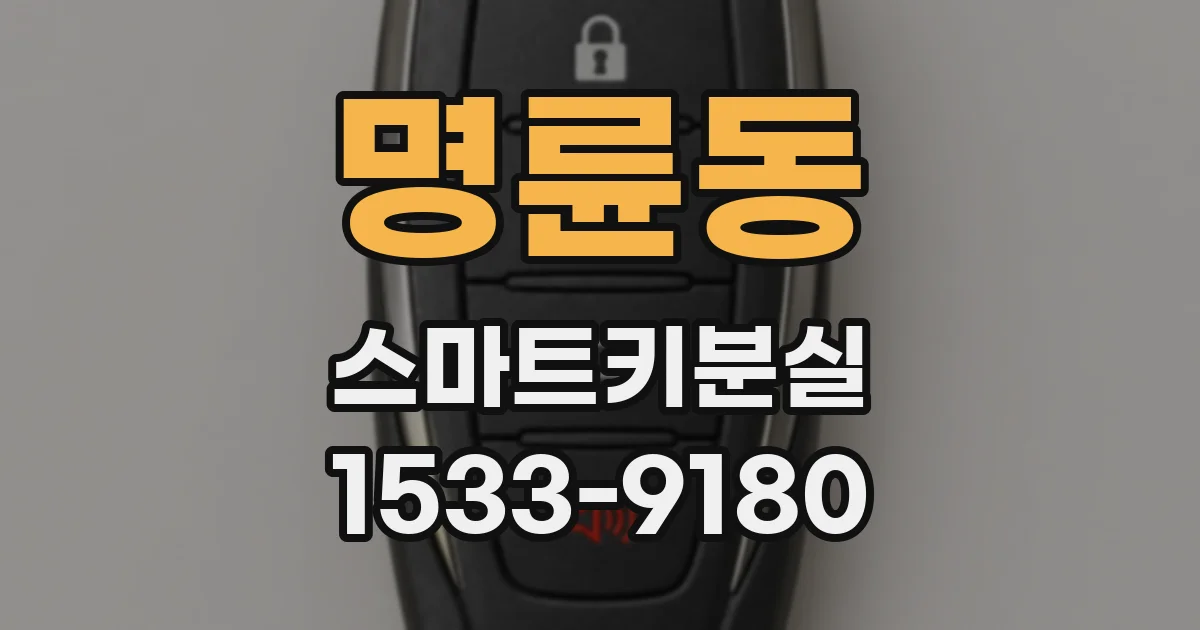 명륜동 스마트키분실