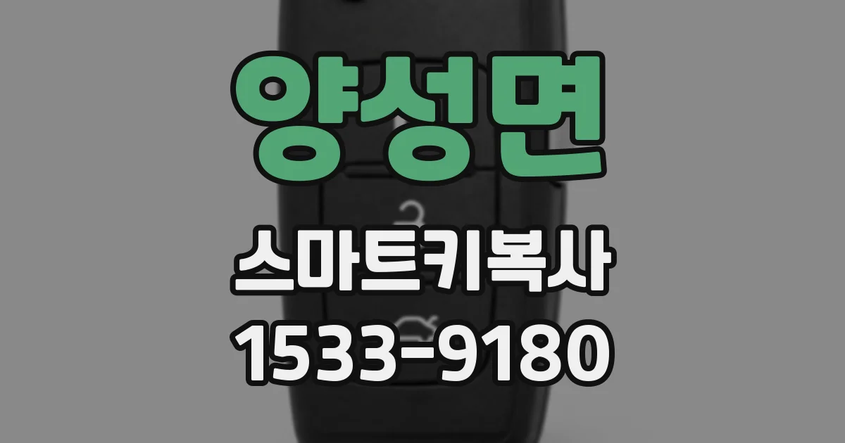 양성면 스마트키복사