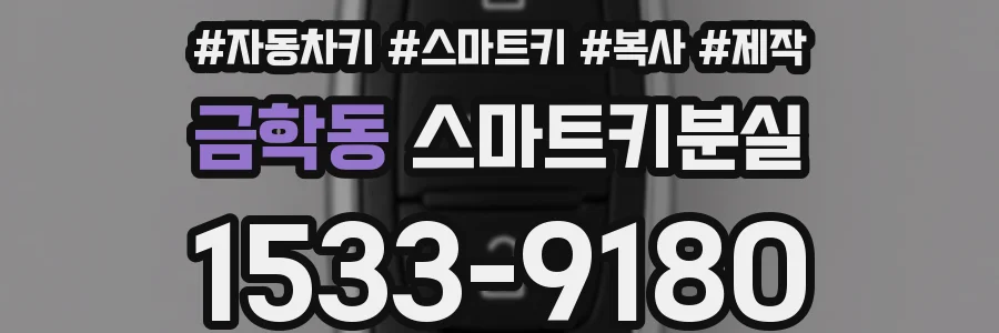 금학동 스마트키분실