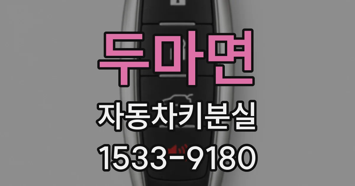 두마면 자동차키분실
